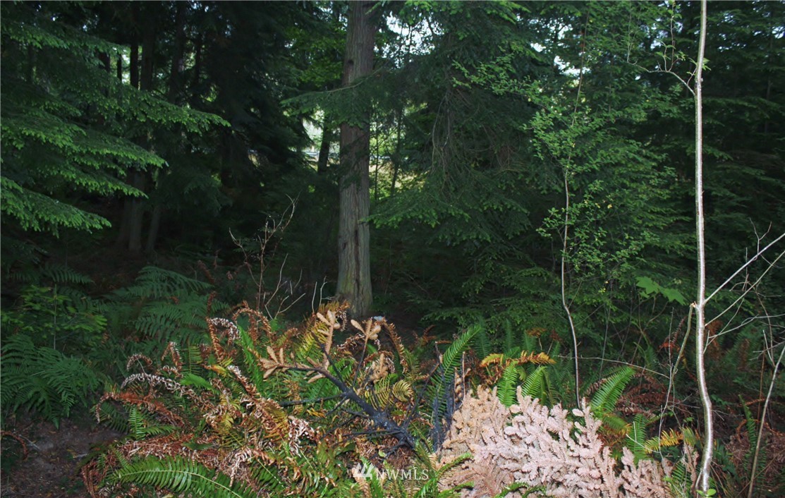 7-8 Sycamore Road Coupeville, WA 98239 - Photo 4 of 10 Gallery Image 4