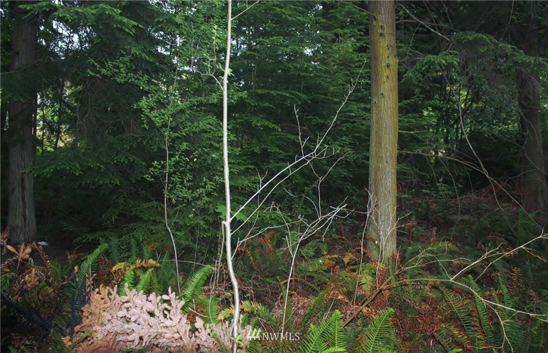 7-8 Sycamore Road Coupeville, WA 98239 - Photo 5 of 10 Gallery Image 5