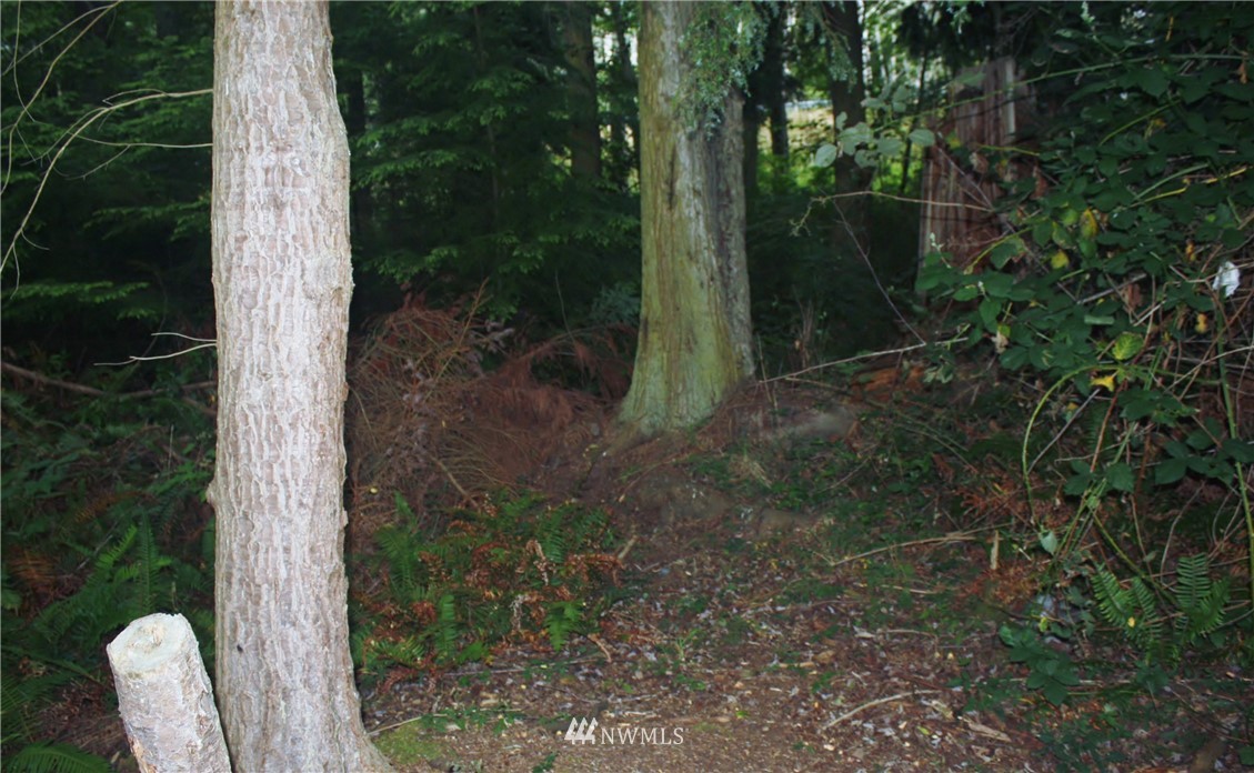 7-8 Sycamore Road Coupeville, WA 98239 - Photo 6 of 10 Gallery Image 6