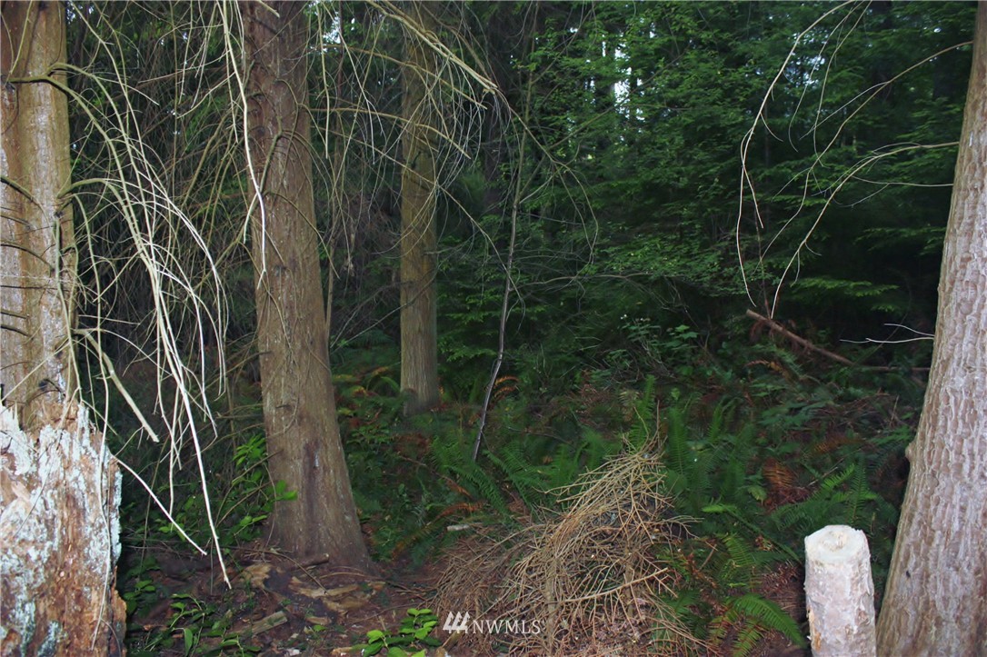 7-8 Sycamore Road Coupeville, WA 98239 - Photo 7 of 10 Gallery Image 7