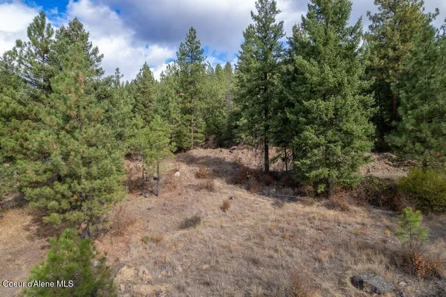 $310,000 | Lot 17 Akre Heights, Blanchard, ID 83804