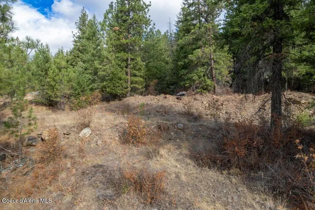 $310,000 | Lot 17 Akre Heights, Blanchard, ID 83804
