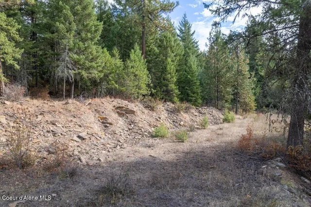 $310,000 | Lot 17 Akre Heights, Blanchard, ID 83804