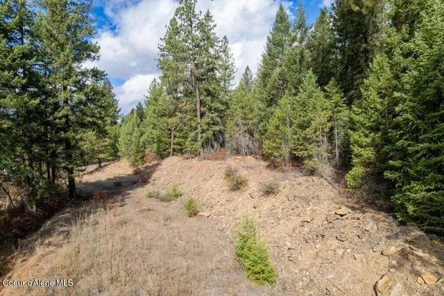 $310,000 | Lot 17 Akre Heights, Blanchard, ID 83804