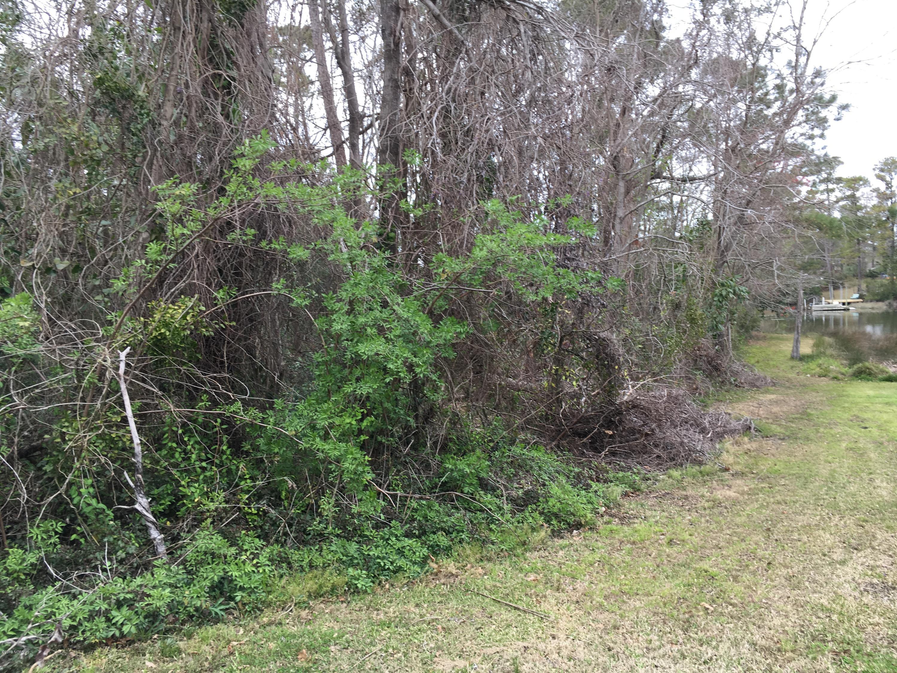 115 Trails End Road Wilmington, NC 28409 - Photo 7 of 11 IMG_7551