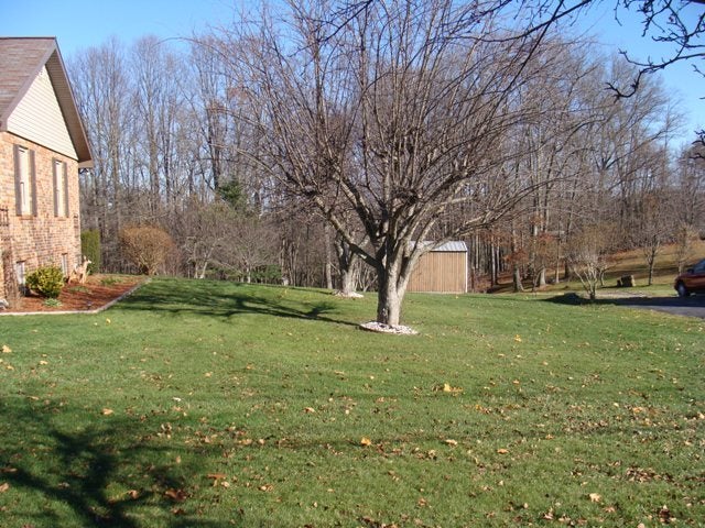 2258 Eads Mill Road Princeton, WV 24739 - Photo 3 of 11 side yard view