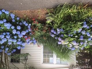8 Ridgeland Terrace Rye, NY 10580 - Photo 20 of 22 View of yard