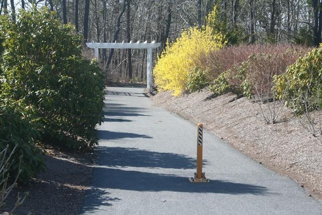 14 Bailey's Path Chatham, MA 02633 - Photo 20 of 20 a view of a pathway of a house with large trees