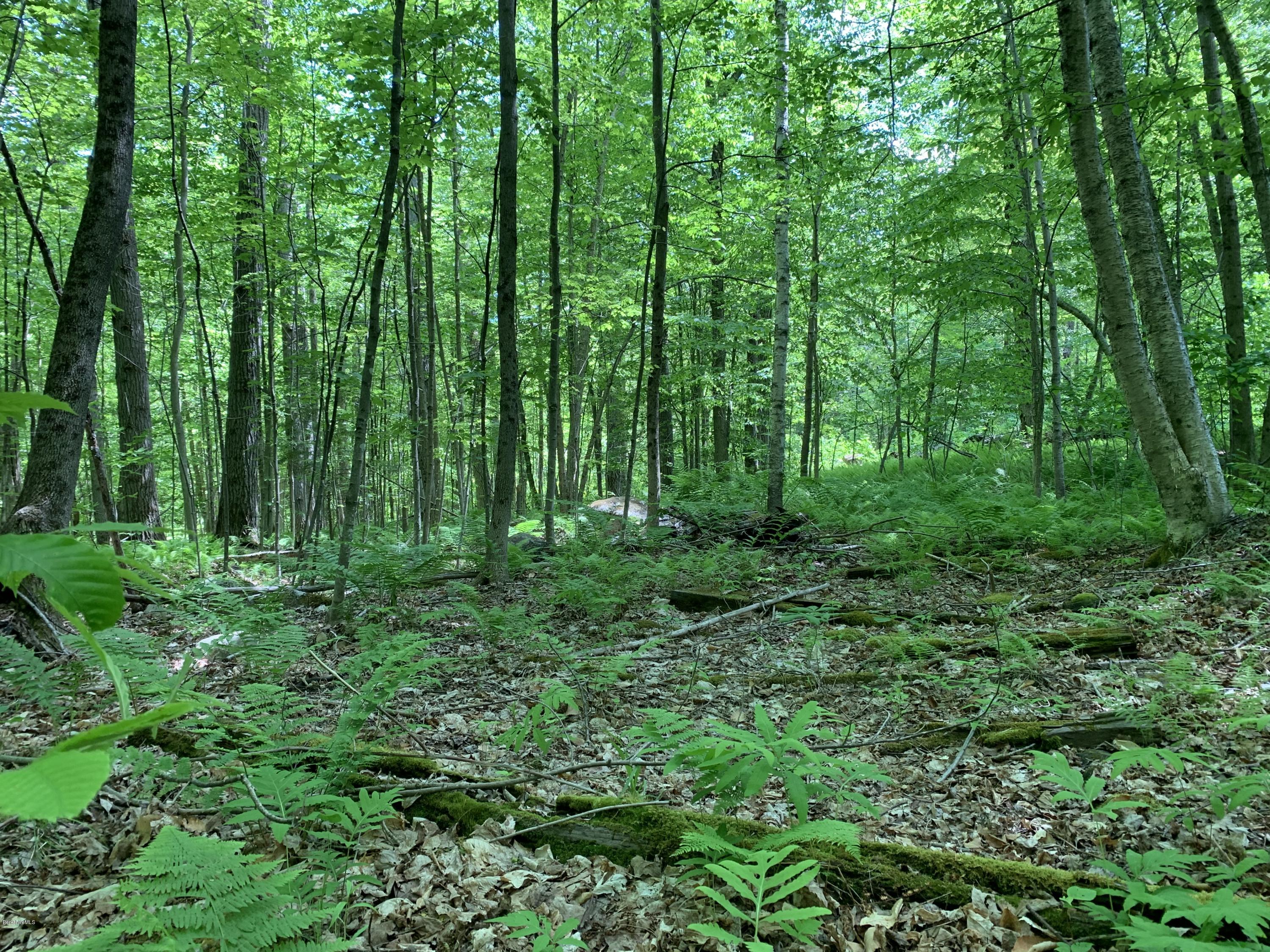 a view of a garden