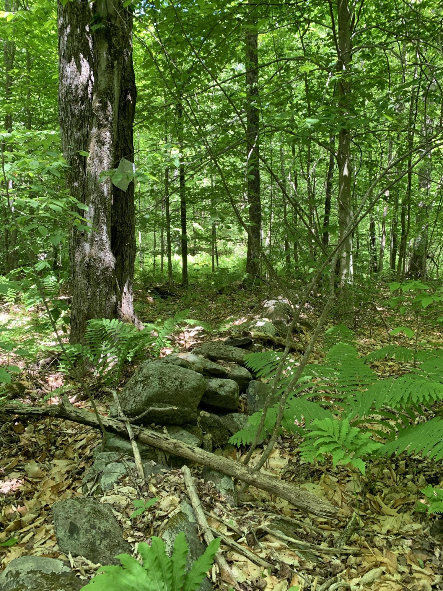 39 Lynes Road Chester, MA 01011 - Photo 7 of 8 a backyard of a house with lots of green space