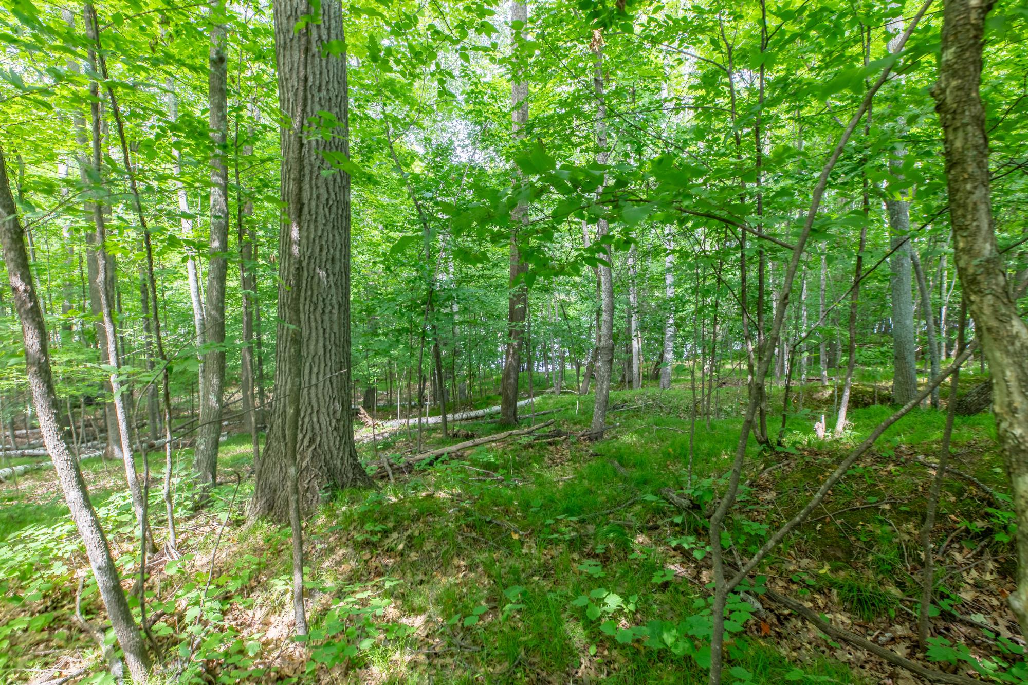 Lot Round Round Lake Road Rhinelander, WI 54501 - Photo 11 of 19 Gallery Image 11