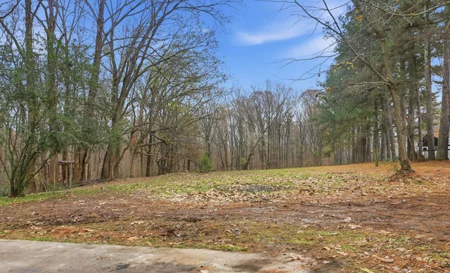 a backyard of a house with lots of green space