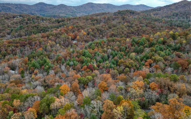 a view of a lush green hillside and a houses