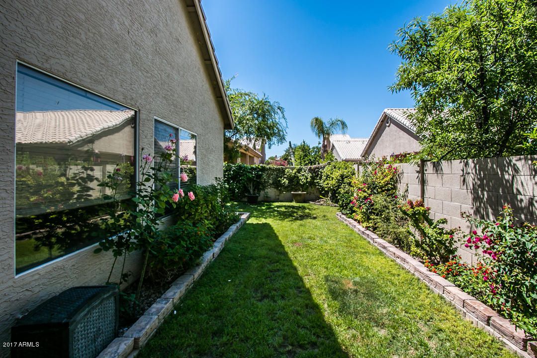394 West El Freda Road Tempe, AZ 85284 - Photo 27 of 31 Backyard