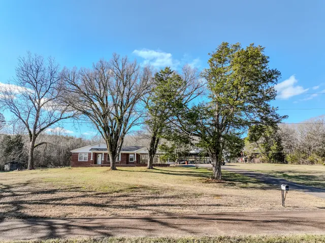 a view of a yard with large trees