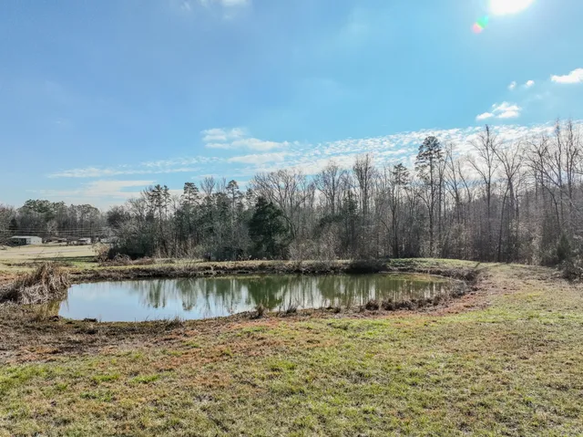 a view of a lake with a mountain