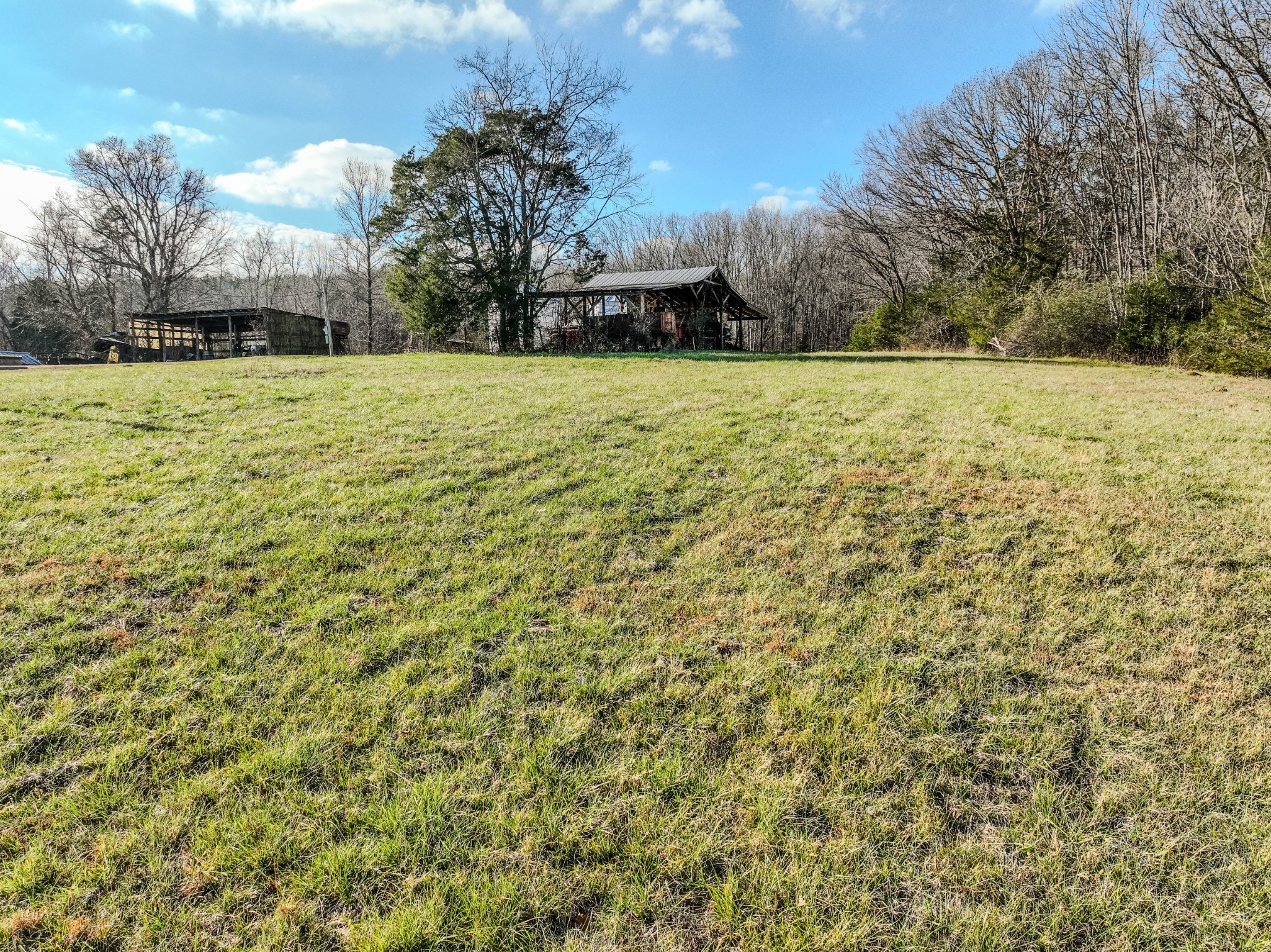5026 Tinin Road Clifton, TN 38425 - Photo 9 of 39