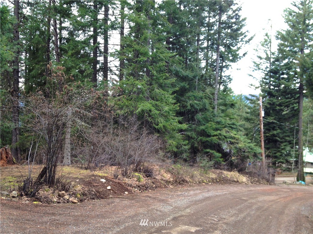 0 Dumbarton Road Ronald, WA 98940 - Photo 8 of 8 Gallery Image 8