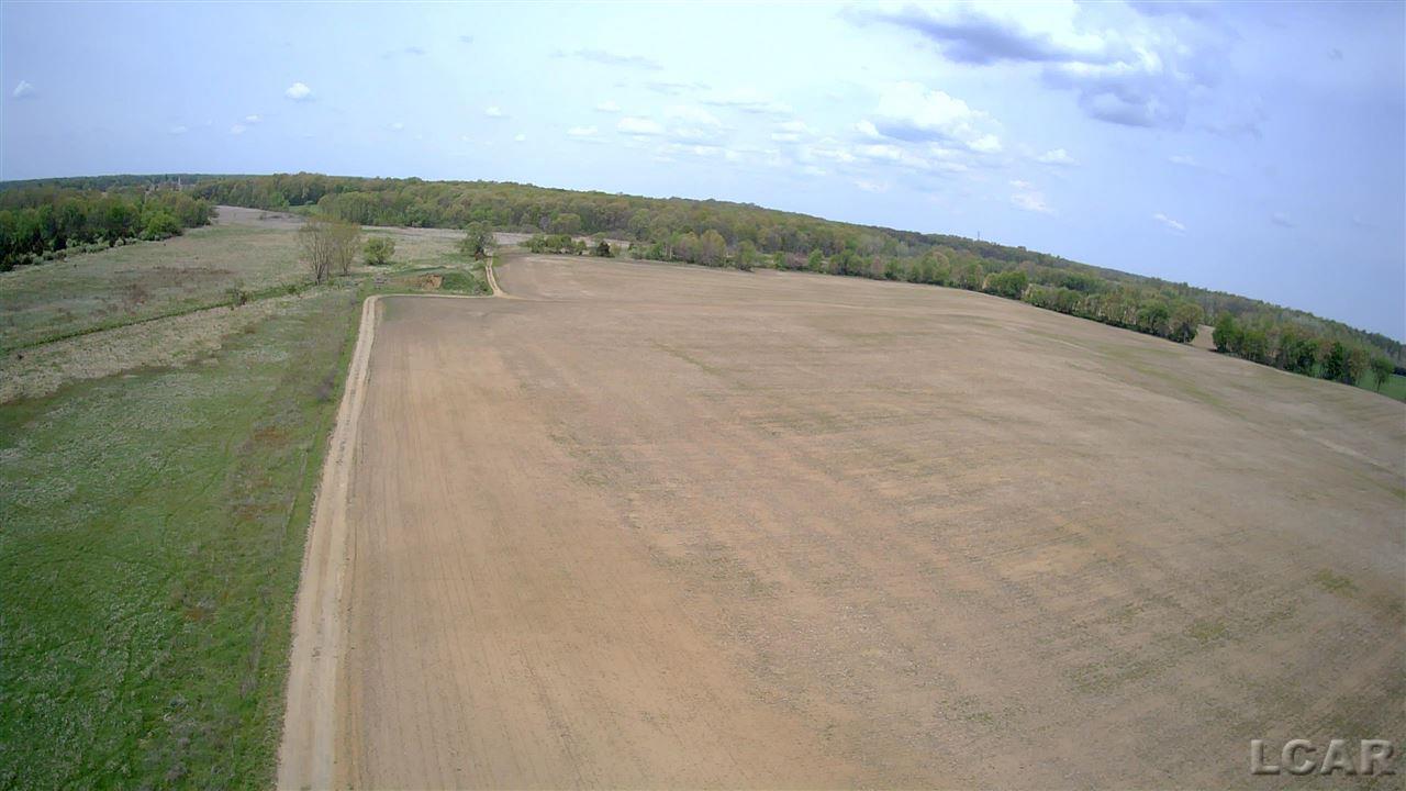 8670 Brooklyn Road Brooklyn, MI 49230 - Photo 7 of 18