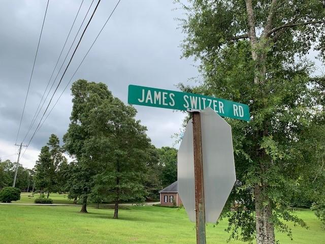 0 James Switzer Road Purvis, MS 39475 - Photo 1 of 1 1