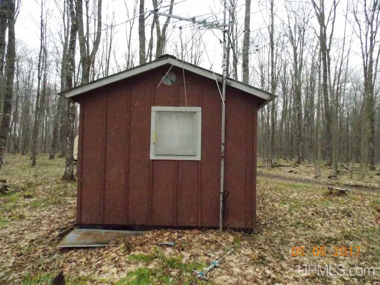 26717 Knurick Road Watton, MI 49970 - Photo 3 of 18