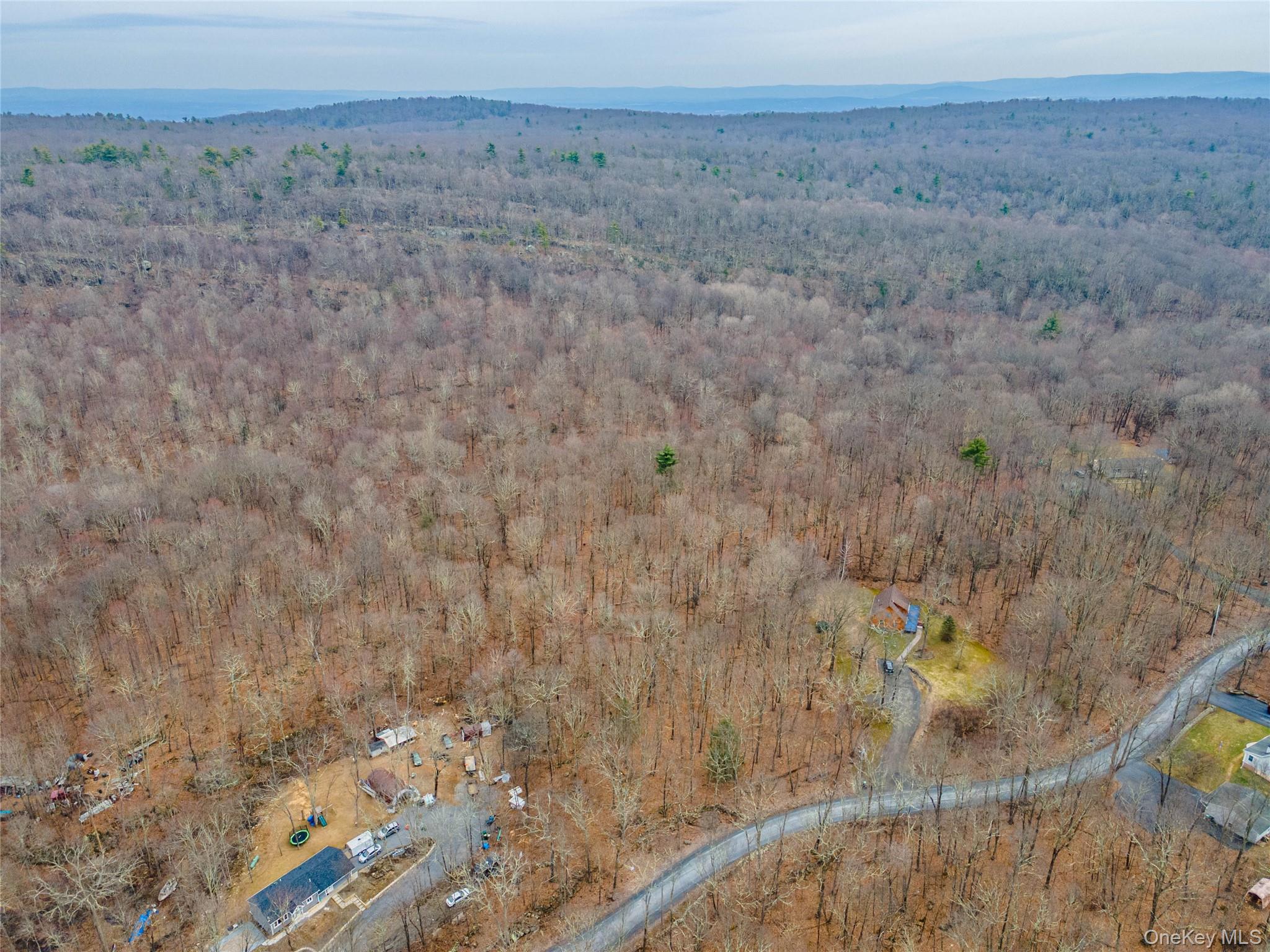 100 Lewis Lane Wallkill, NY 12589 - Photo 11 of 18 a view of a dry yard