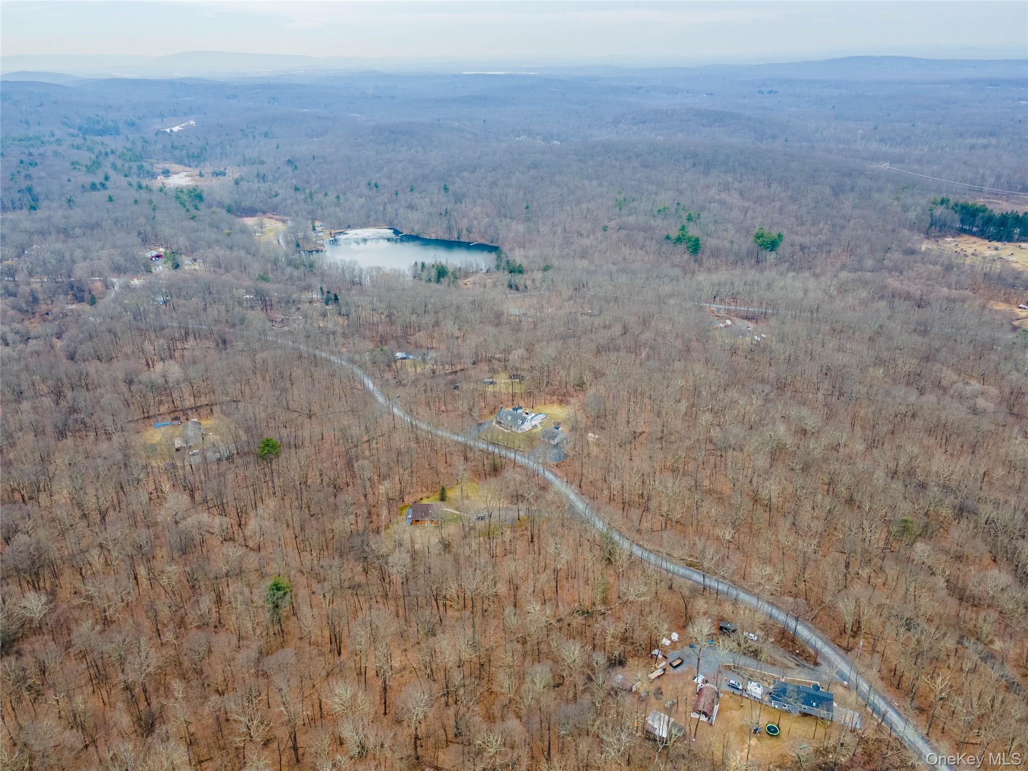 100 Lewis Lane Wallkill, NY 12589 - Photo 16 of 18 a view of mountains with tall trees