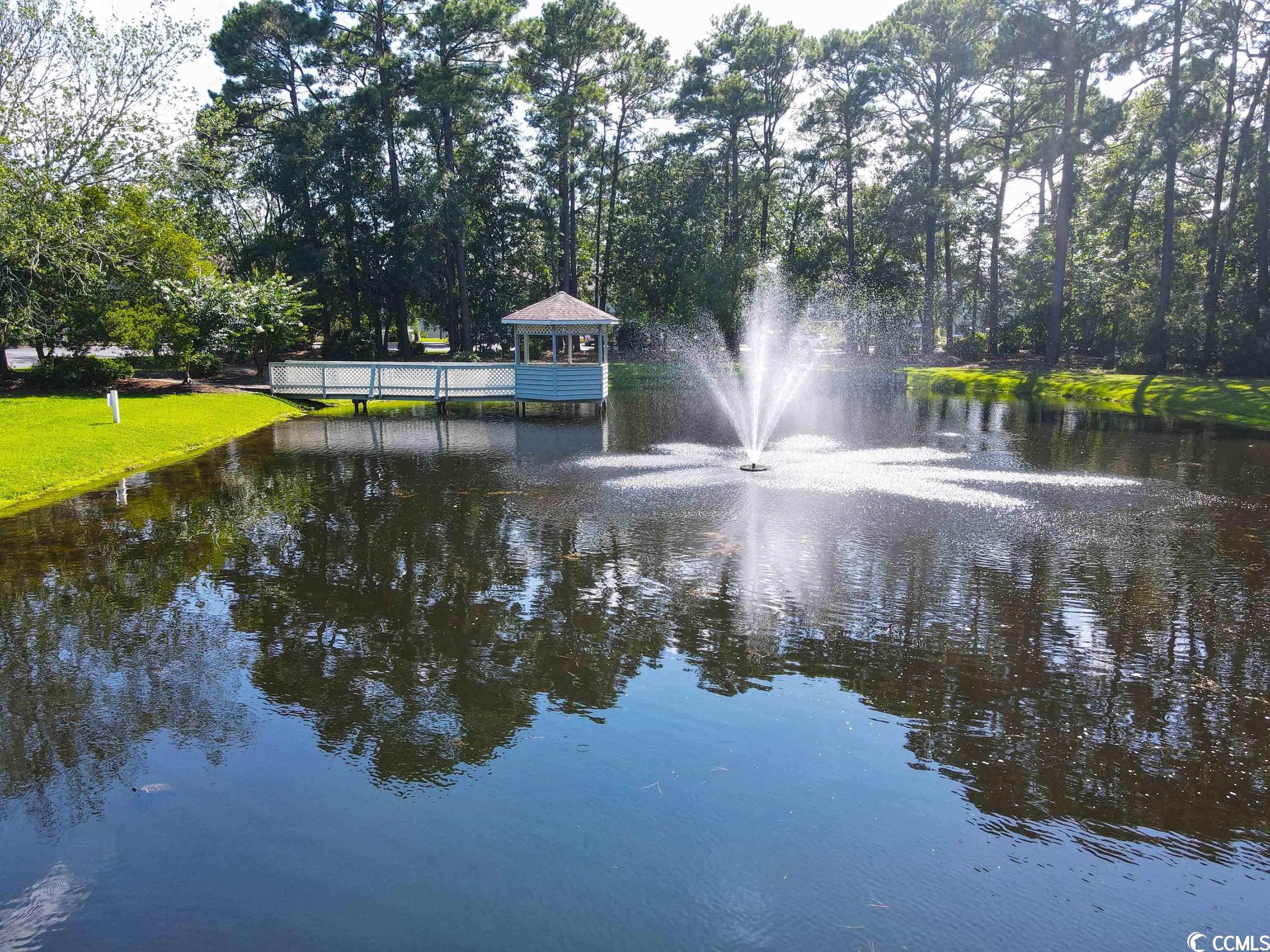 52 Shadow Moss Place, Unit 52 North Myrtle Beach, SC 29582 - Photo 36 of 40