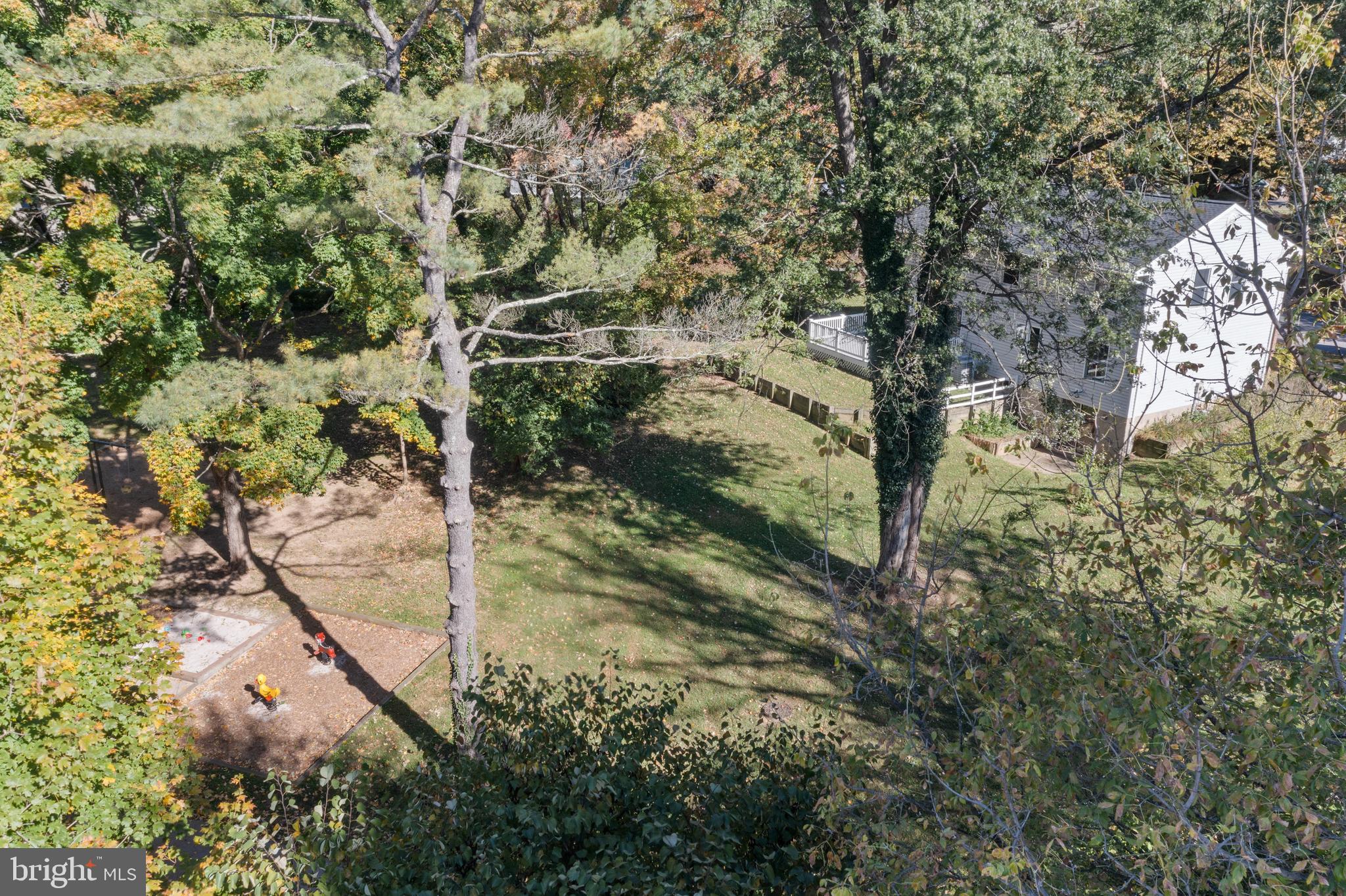 5014 Round Tower Place Columbia, MD 21044 - Photo 43 of 47 Lots of foilage