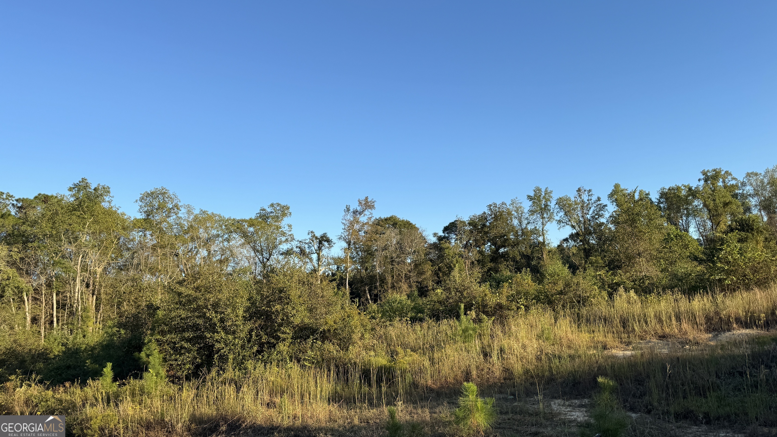 0 George Strickland Road Claxton, GA 30417 - Photo 2 of 8 a view of a lake with a city