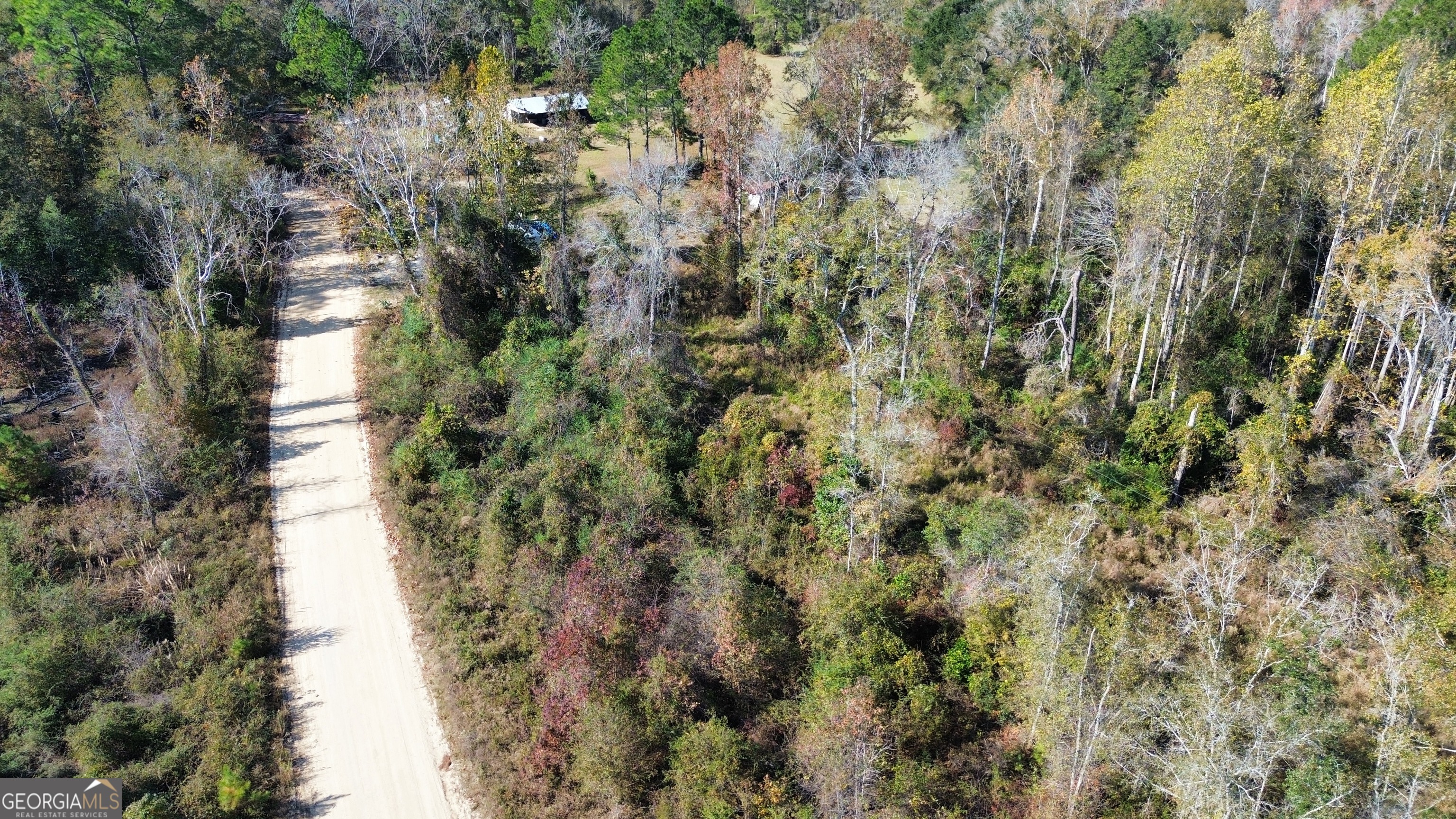 0 George Strickland Road Claxton, GA 30417 - Photo 3 of 8 a view of a forest with a tree
