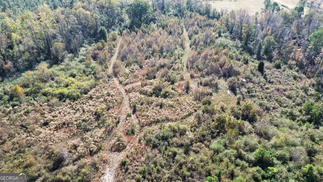 a view of a covered with green field