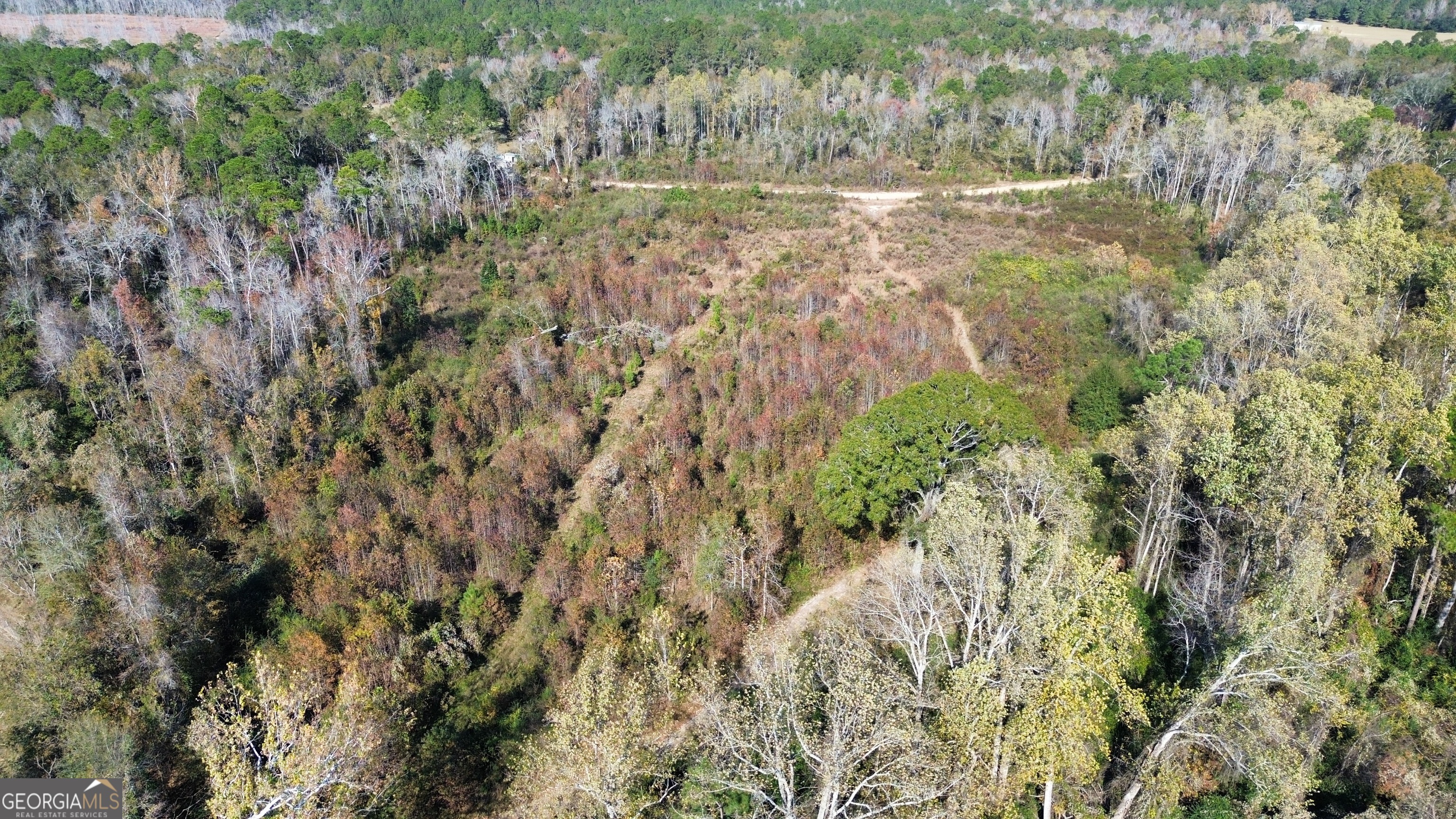 0 George Strickland Road Claxton, GA 30417 - Photo 8 of 8 a view of yard with green space