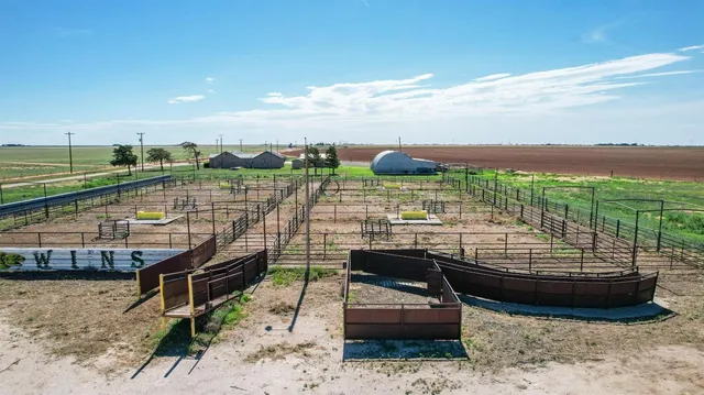 $260,000 | 561 Farm To Market Road 302, Springlake, TX 79082