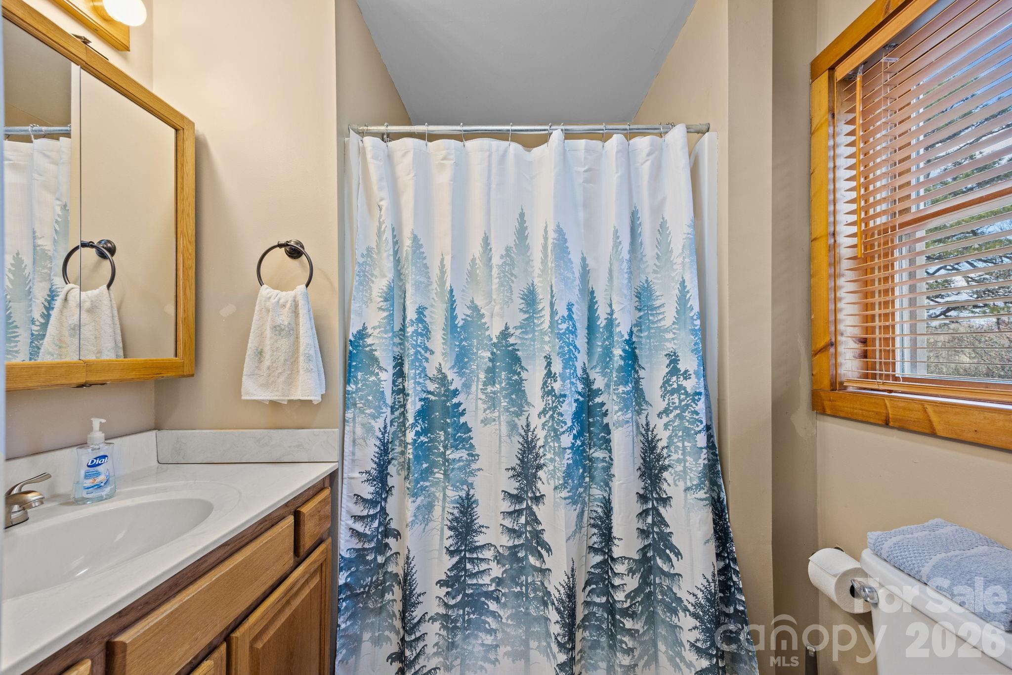 951 Pine Tree Road Spruce Pine, NC 28777 - Photo 33 of 48