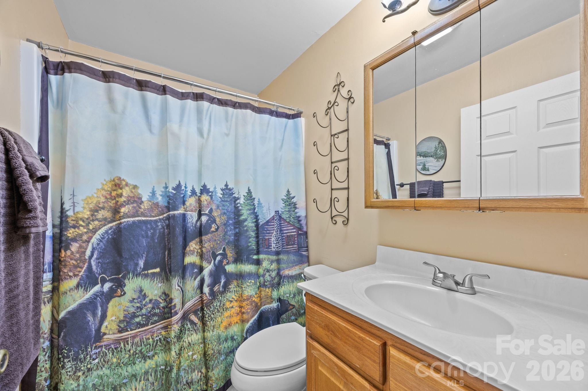 951 Pine Tree Road Spruce Pine, NC 28777 - Photo 36 of 48