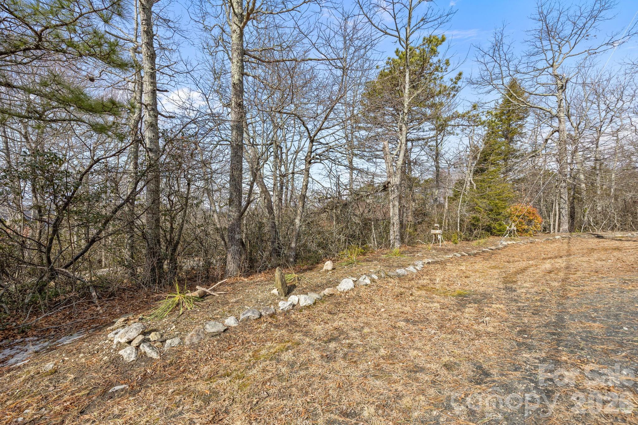 951 Pine Tree Road Spruce Pine, NC 28777 - Photo 46 of 48