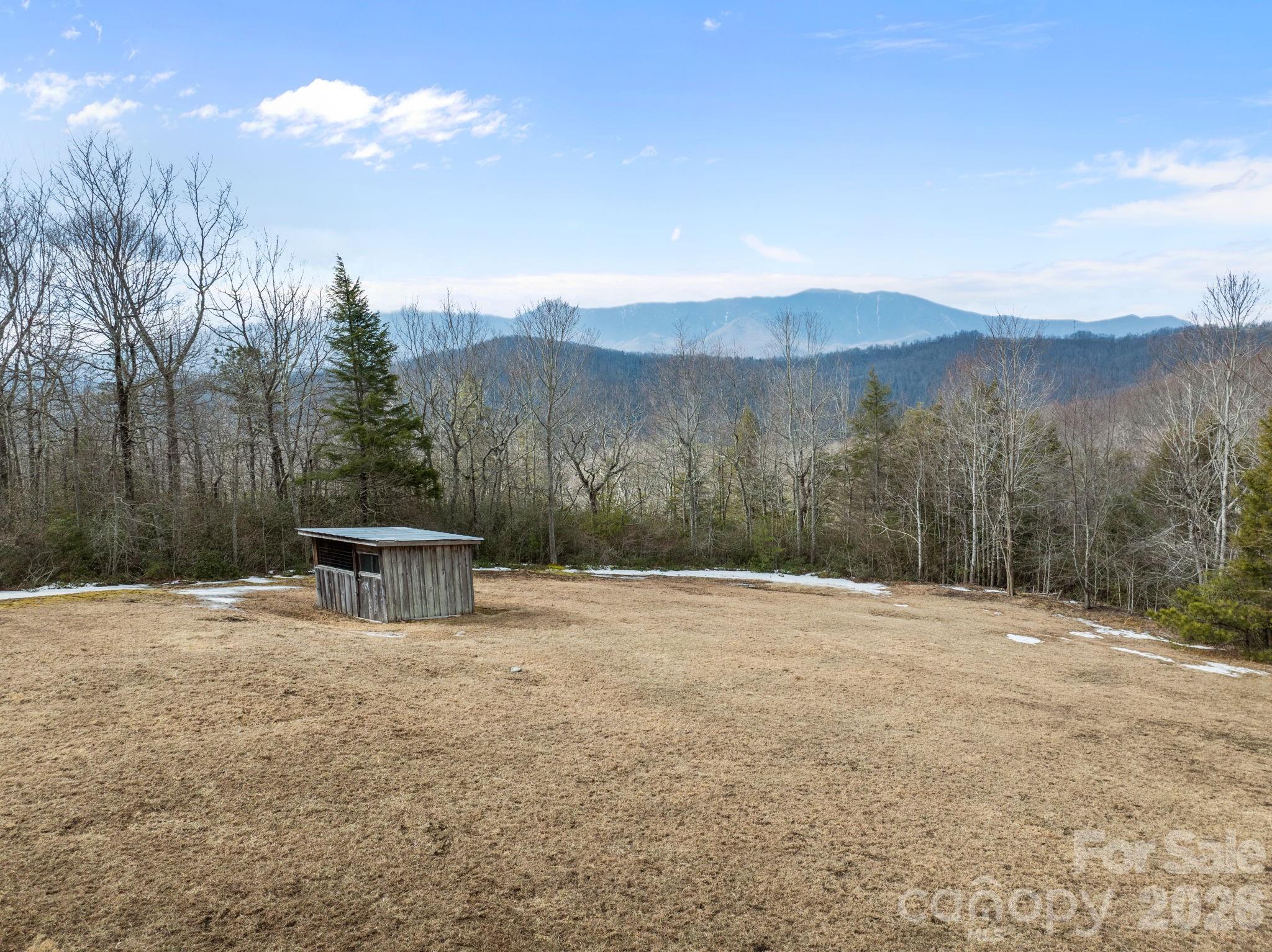 951 Pine Tree Road Spruce Pine, NC 28777 - Photo 9 of 48