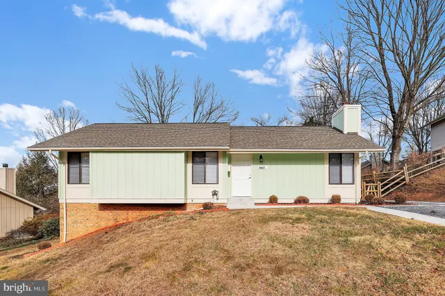 a view of a white house with a large tree