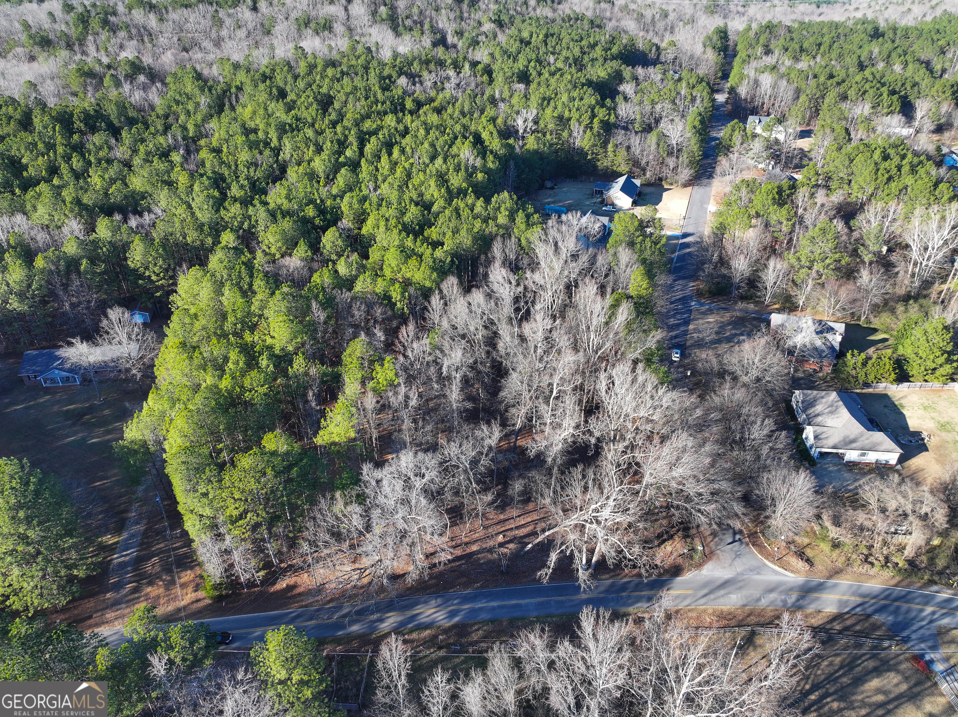 2 Acres On Little Texas Valley Road Rome, GA 30165 - Photo 12 of 22 a plant that is in a garden