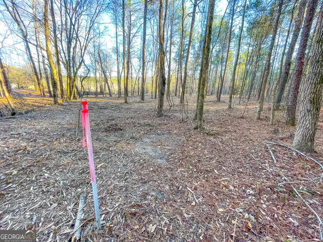 a flag is sitting in the middle of forest