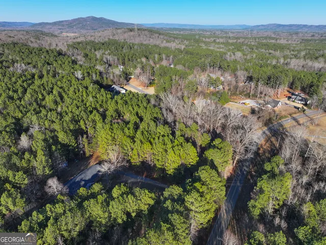 a view of a garden with mountains in the background