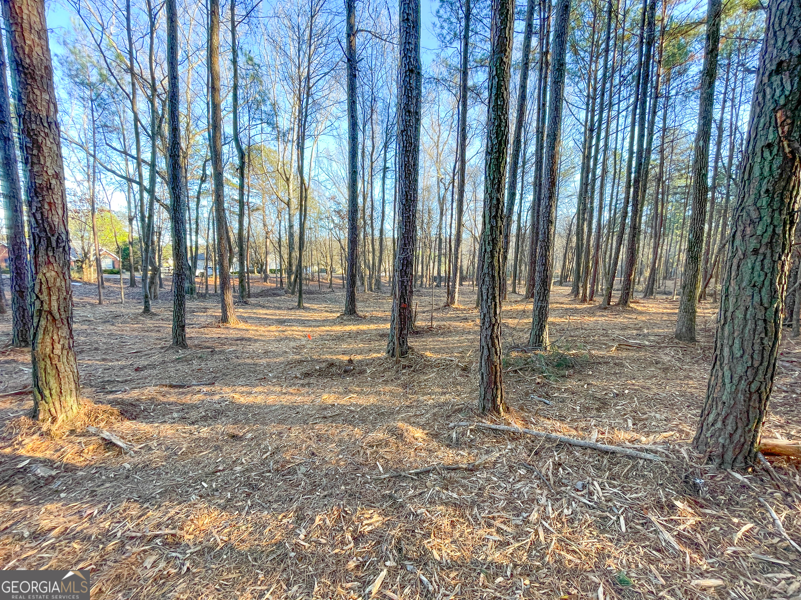 2 Acres On Little Texas Valley Road Rome, GA 30165 - Photo 16 of 22 a view of a park with large trees