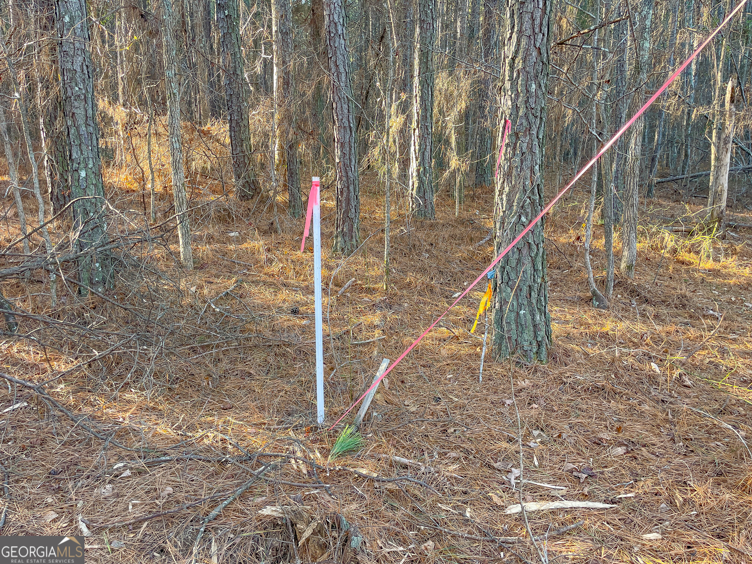 2 Acres On Little Texas Valley Road Rome, GA 30165 - Photo 18 of 22