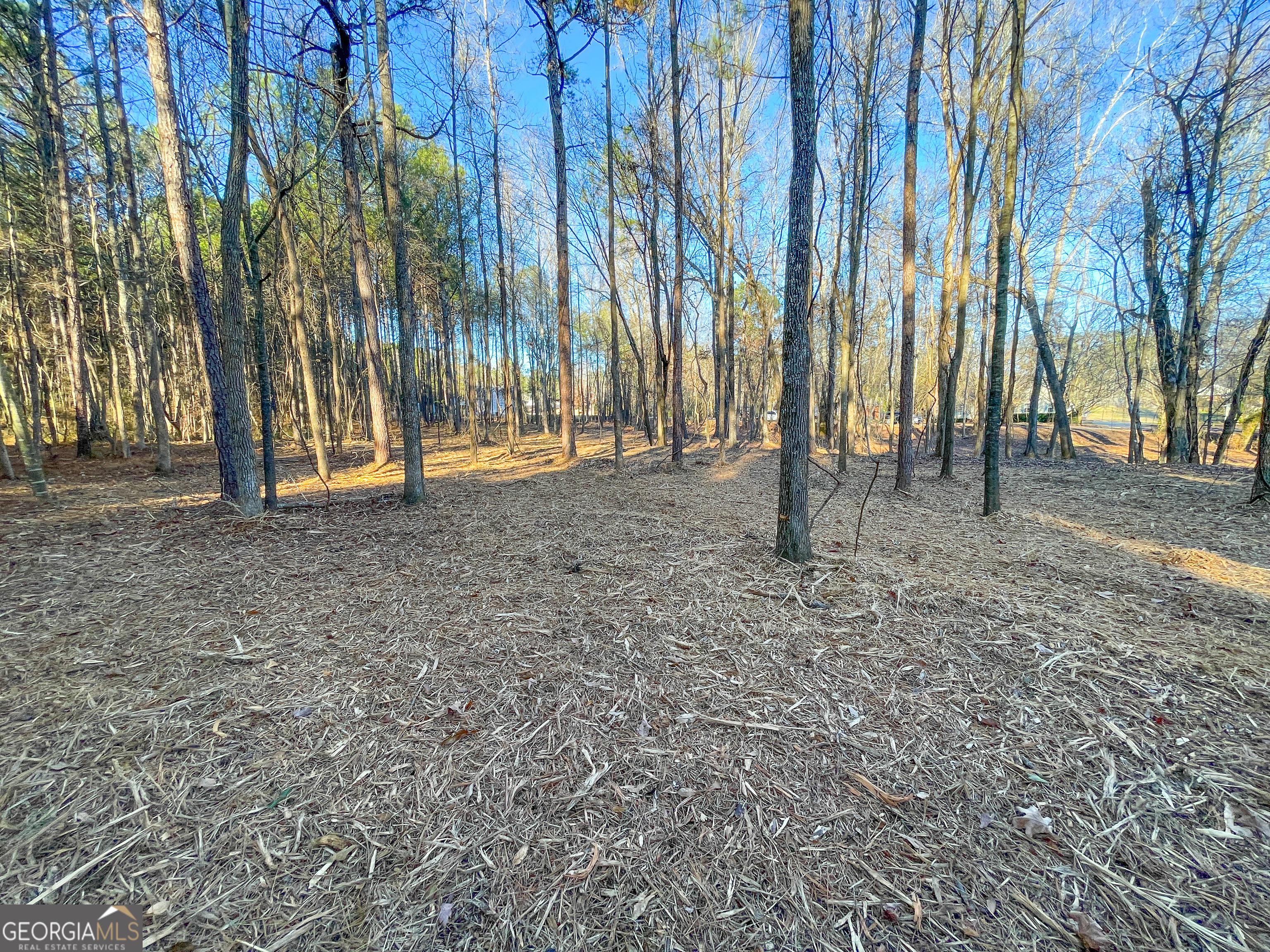 2 Acres On Little Texas Valley Road Rome, GA 30165 - Photo 19 of 22 a backyard of apartments with large trees