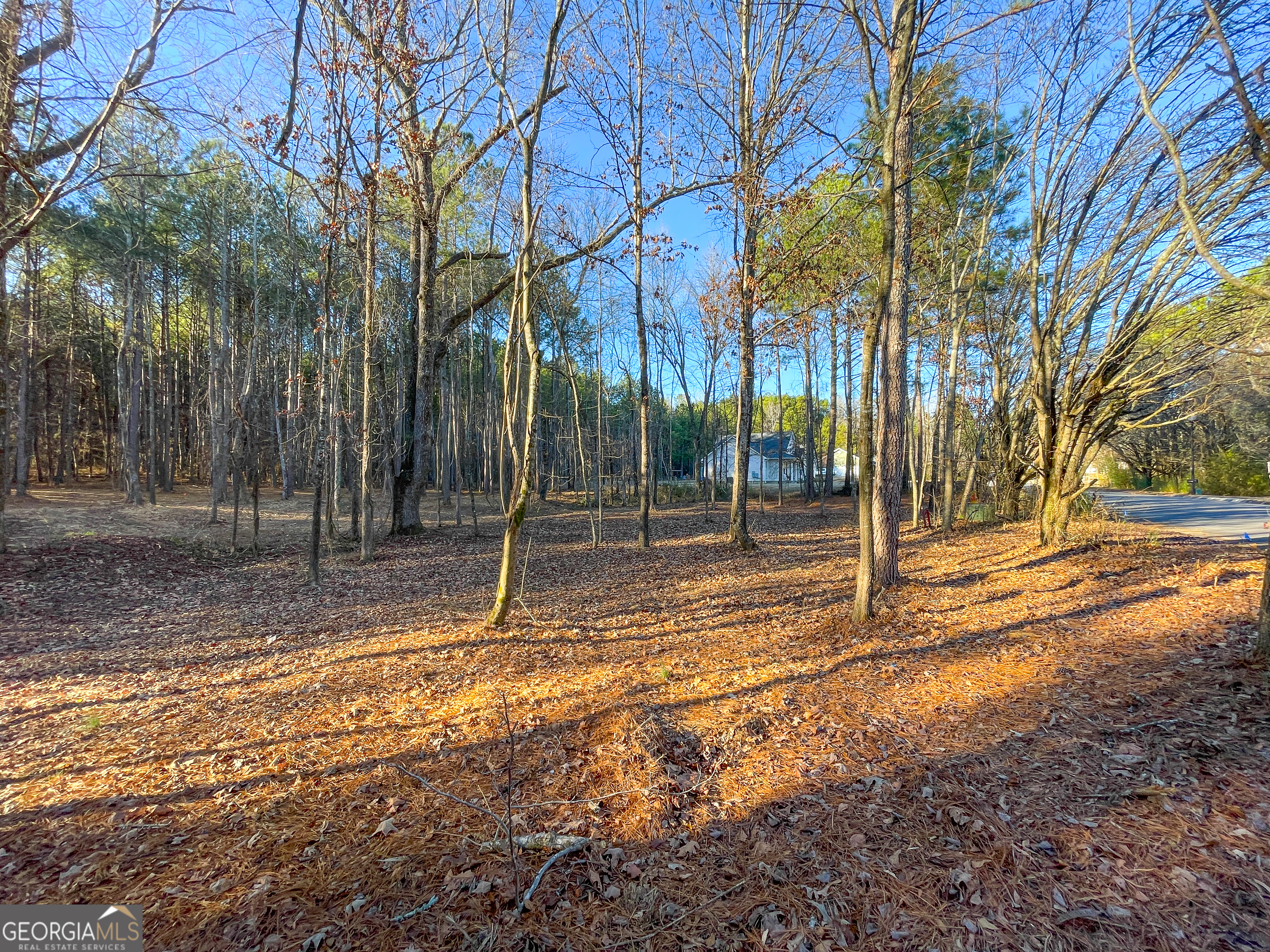 2 Acres On Little Texas Valley Road Rome, GA 30165 - Photo 20 of 22 a view of a yard with small trees