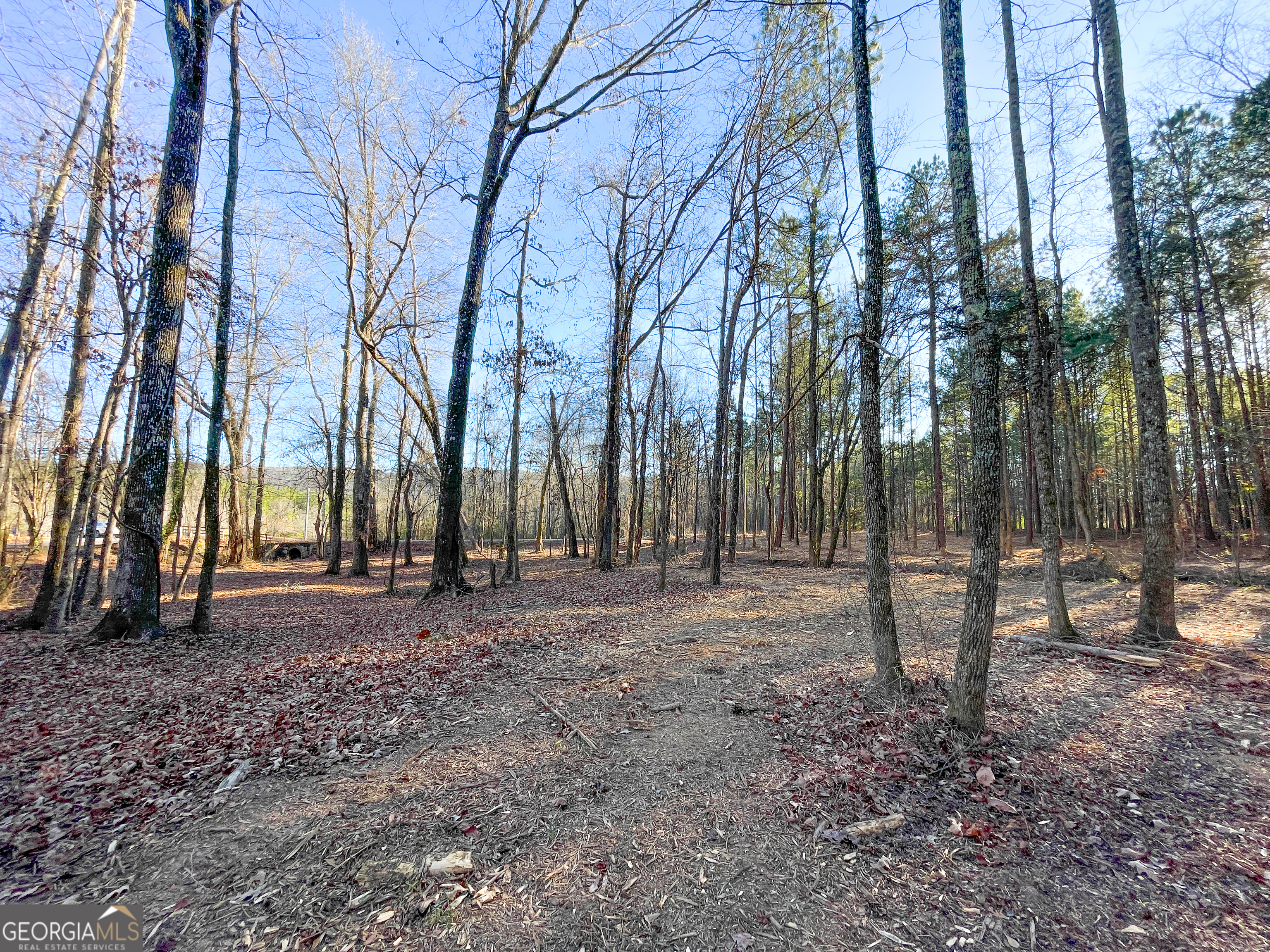2 Acres On Little Texas Valley Road Rome, GA 30165 - Photo 10 of 22 a backyard of a house with lots of green space