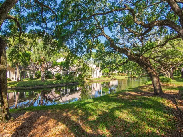 a view of backyard with large trees
