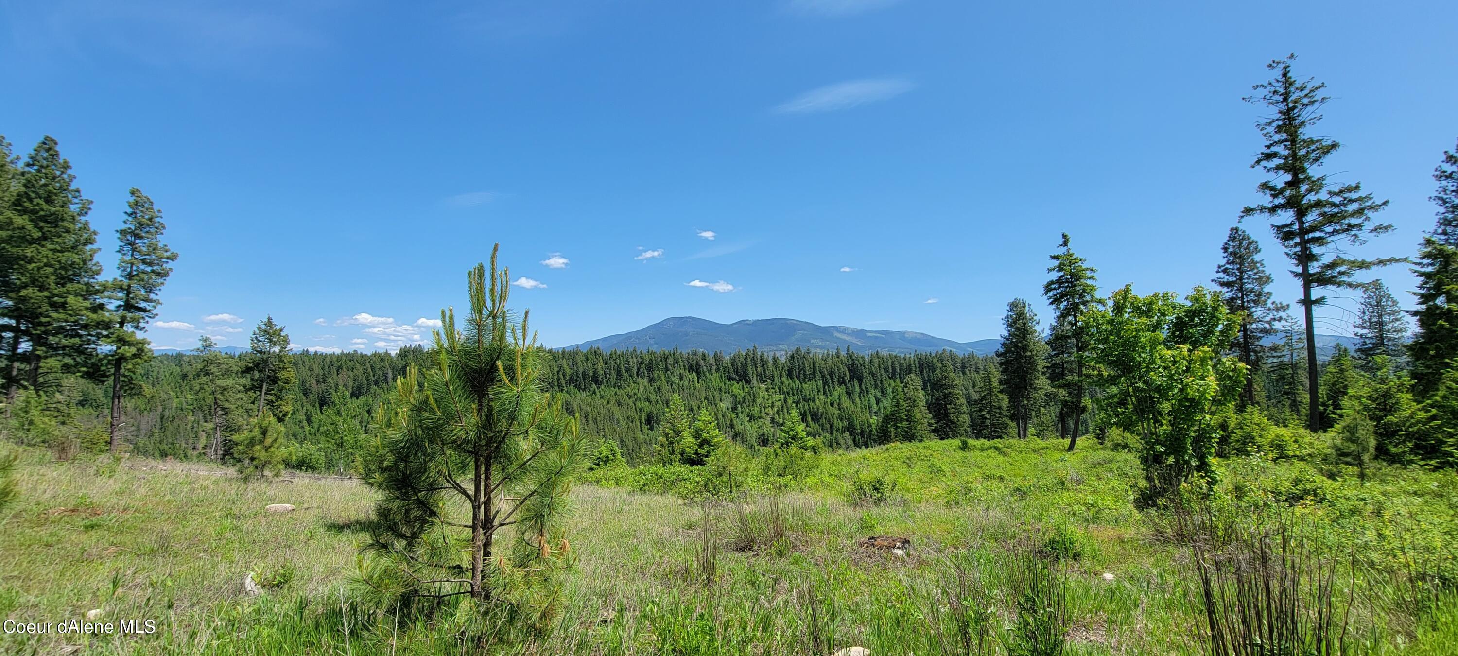 6 Bonners Ferry Naples, ID 83847 - Photo 6 of 22 20230530_131113