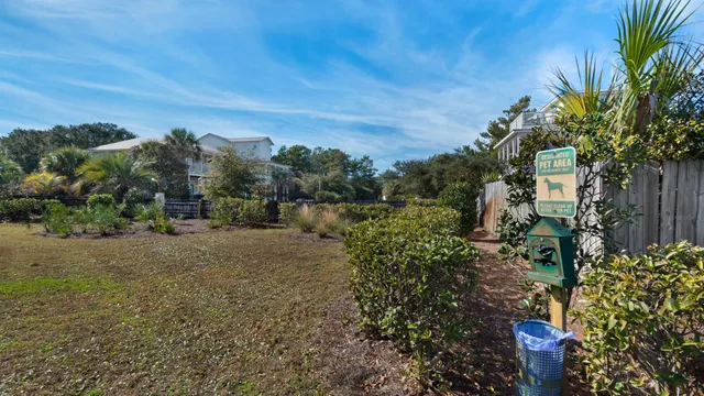 a view of a garden with plants and a trees